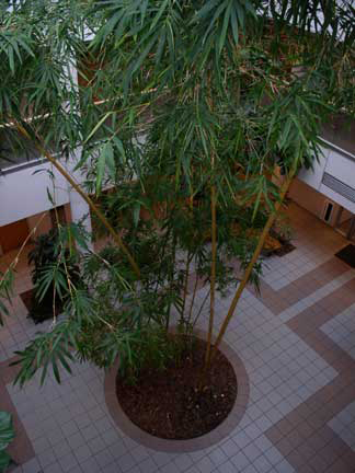 image2c