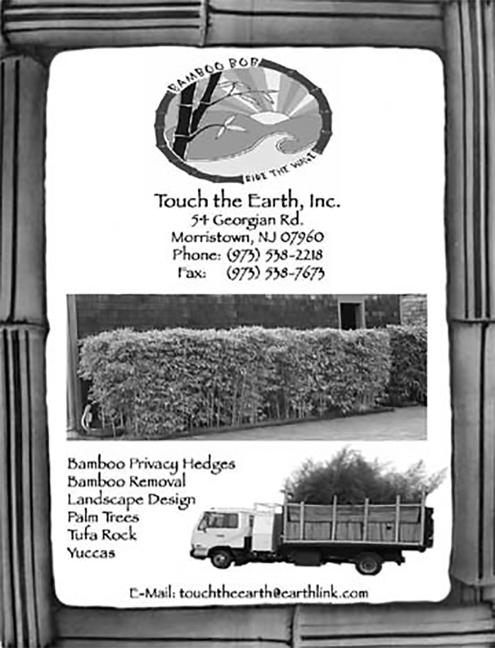 an old add from Bamboo Bob's Touch the earth inc. Idigbamboo.com