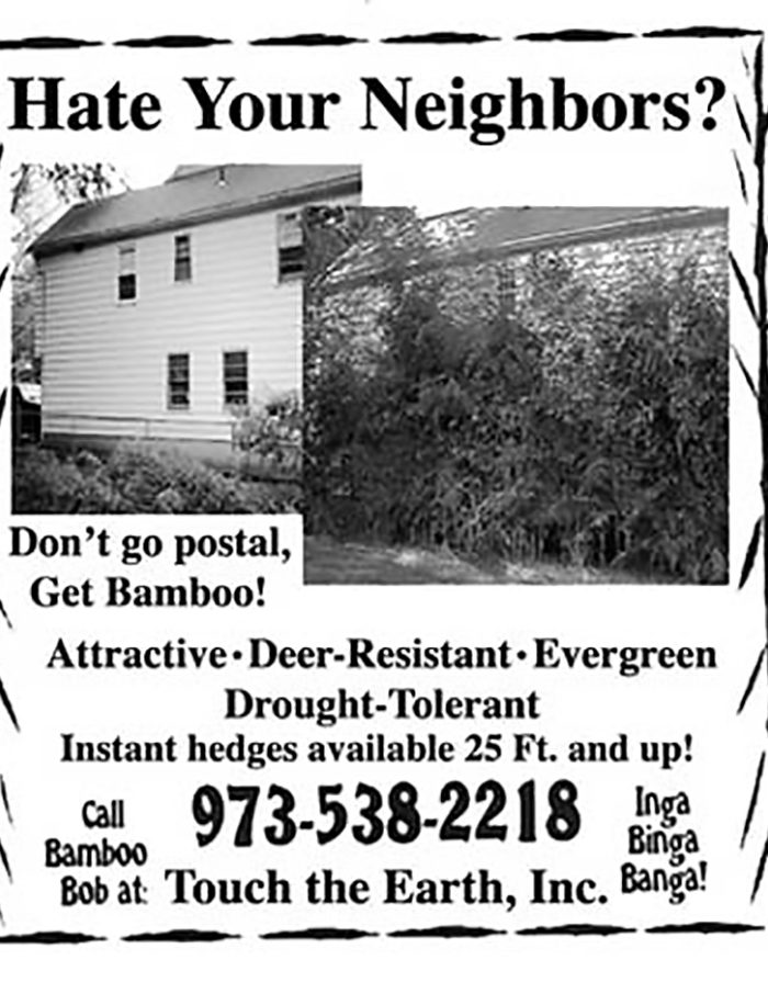 Hate your neighbor? don't go postal, get bamboo! attractive deer resistant, evergreen, drought tolerant instant hedges. Contact bamboo bob about getting the privacy you need today.